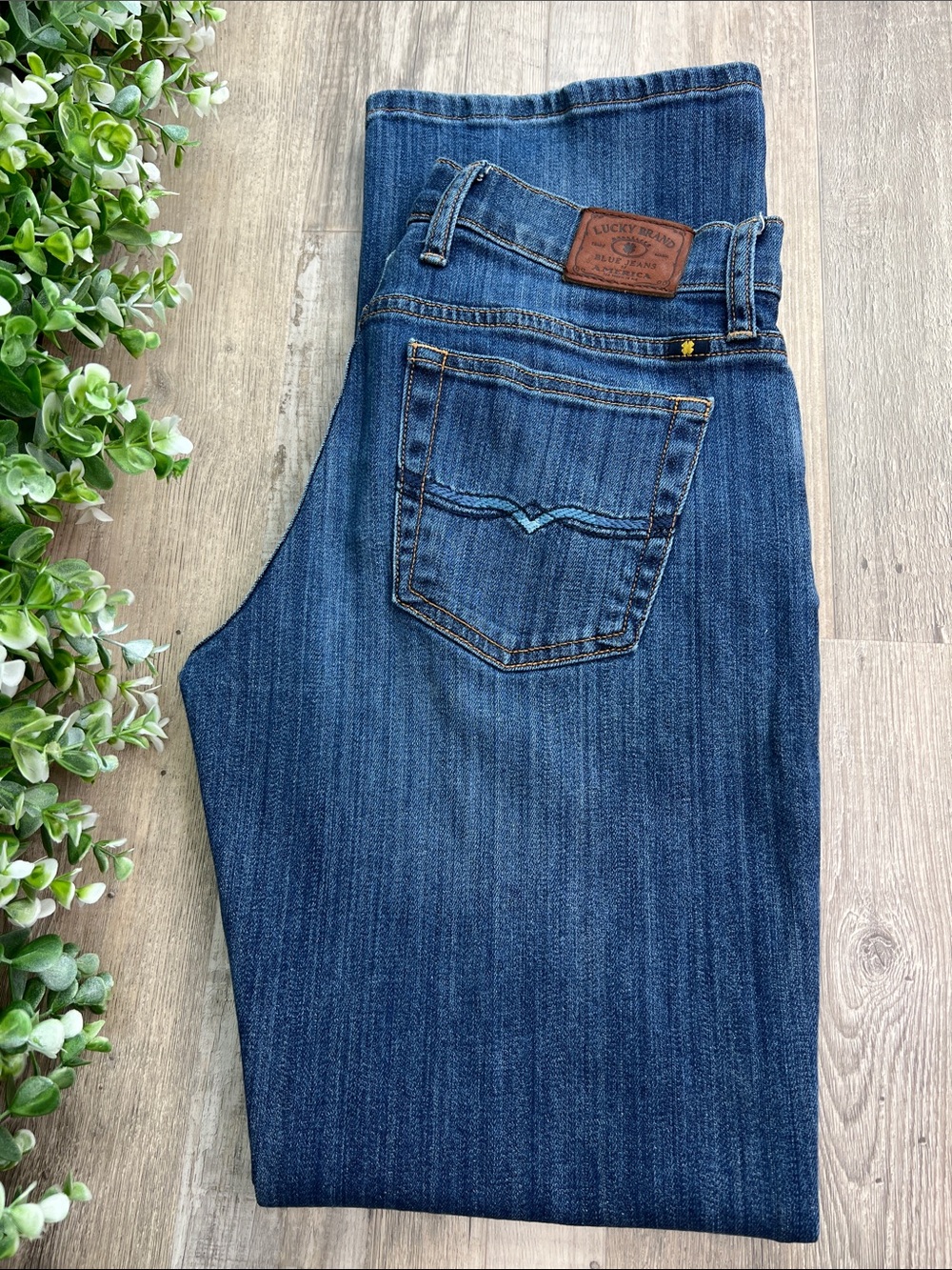 Lucky Brand Easy Rider Subtle Bootcut Straight Fit Jeans 27